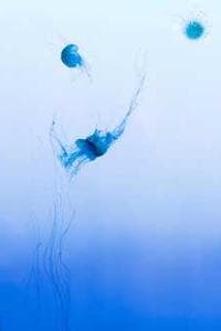 Annely Gerda Prey
