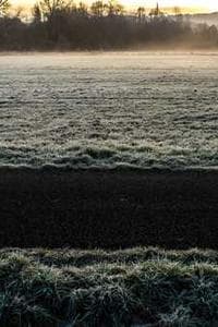 Stuart Cornfield