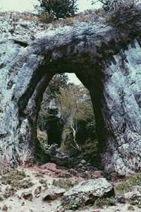 Thanakrit Jenklongtham