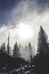Buck Wilderness