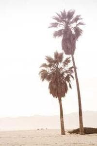 Nat Landells