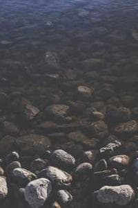 Calbo