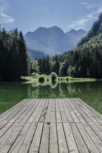 Ardito Desio