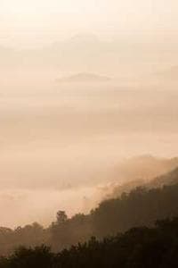 Данил Чащин