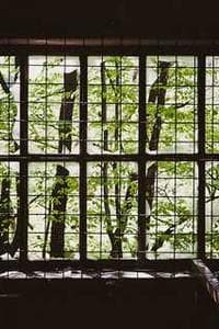 Sabine Friedler