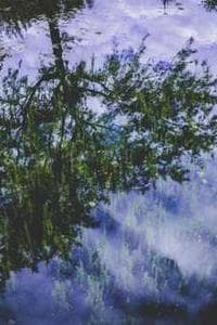 Chang Ru-Yan