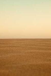 Amir Hossein Alemi