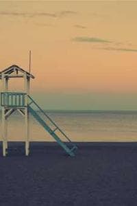 Teddy Holton-Frances