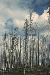 Александр Галко
