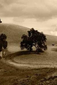 Billie N. Hviid Andersen