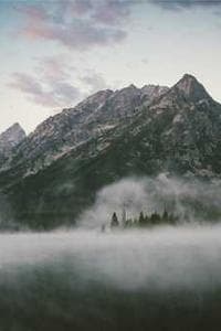山崎直樹