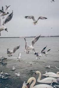 Phichai Prommate