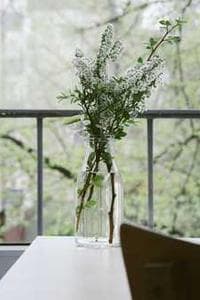 Elisabeth Stiepl