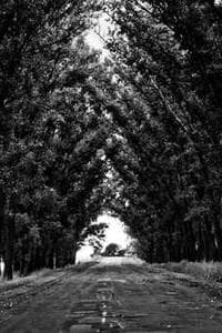 Laurent Landi