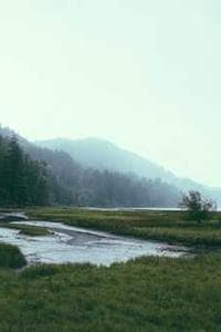 Jaideep Sood