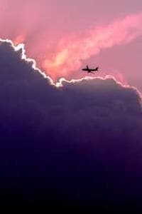 スケザネヘイタ