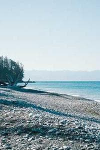 Jonathan Lepine