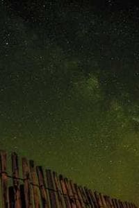 Buddhadeb Bhattacharya