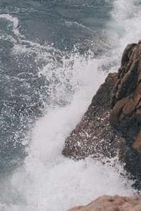 Baleia