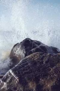Sathyapriya