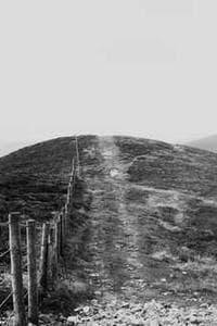 Mary Breen