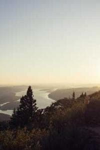 Shmil Ben Ari