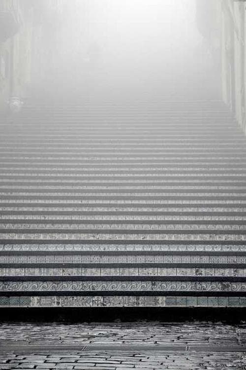 David Parry