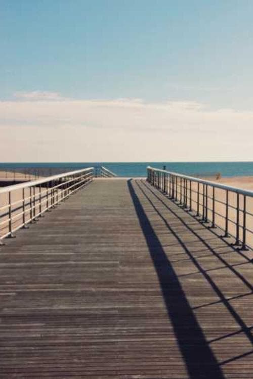 Martine Willequet