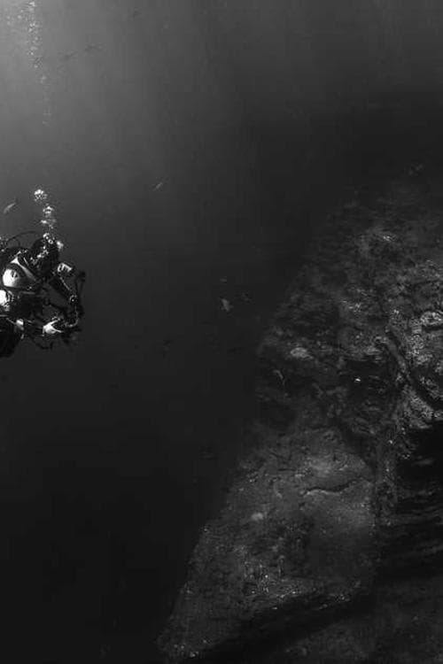 Tony Vorno