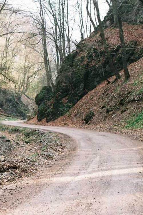 Thomas Badek