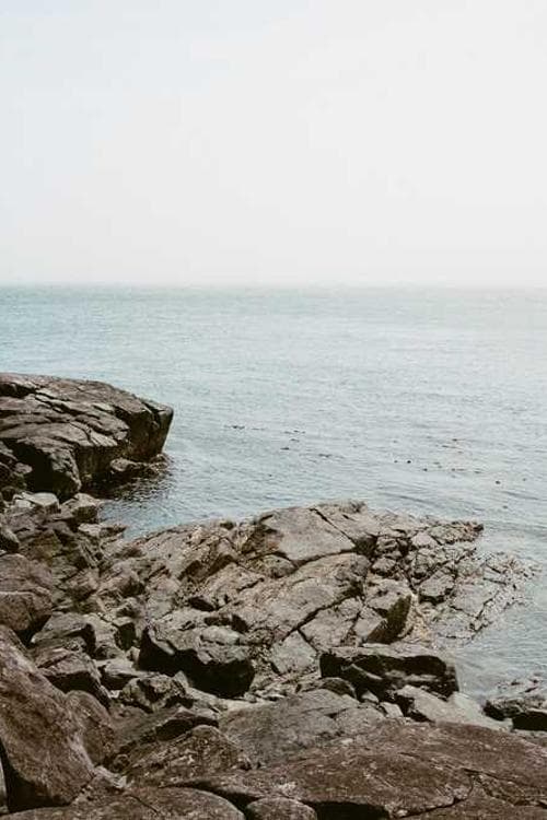 Jaime Dudney
