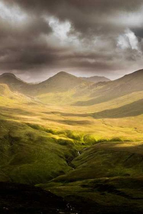 Peter Harrington