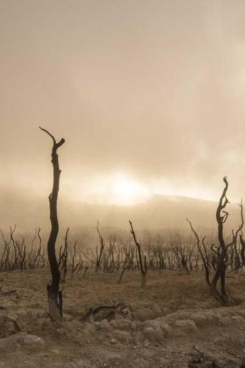 Christine Gloger