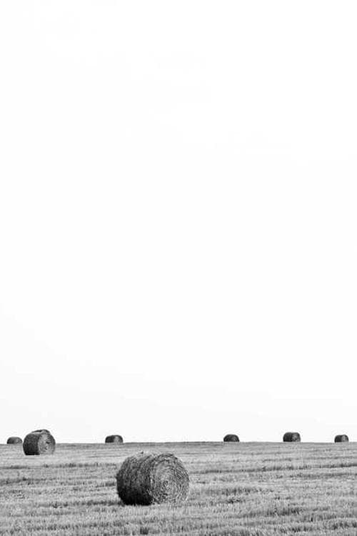 Jannis Farley