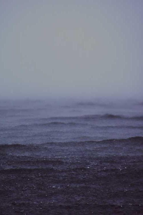 Andrew Wallace-Hadrill