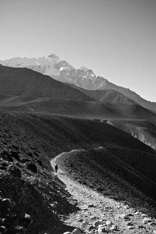 Christopher Coll