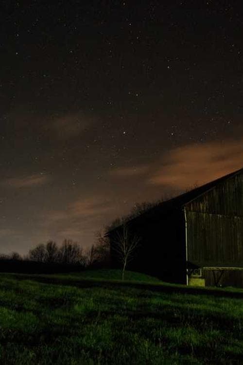 Grant Moninger