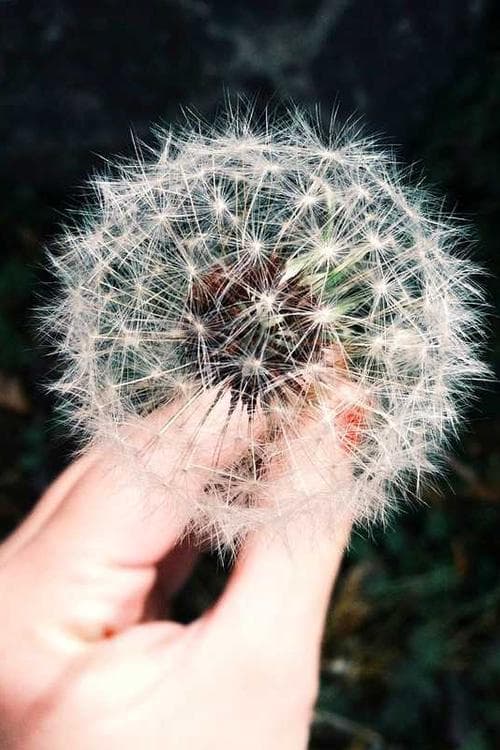 Marcelo Falcão Custódio