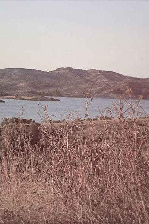 Siu Wa