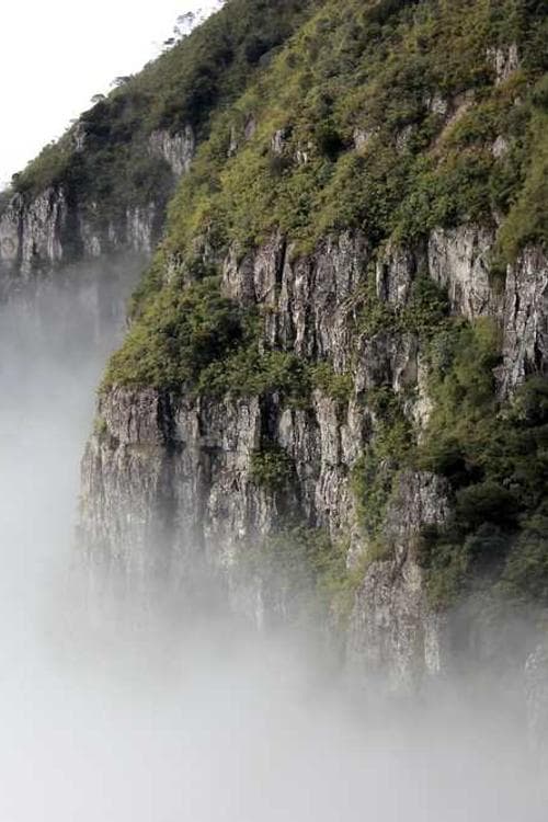 何沛東