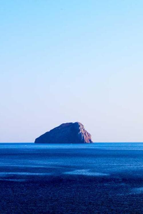 Παντελής Αγγελόπουλος