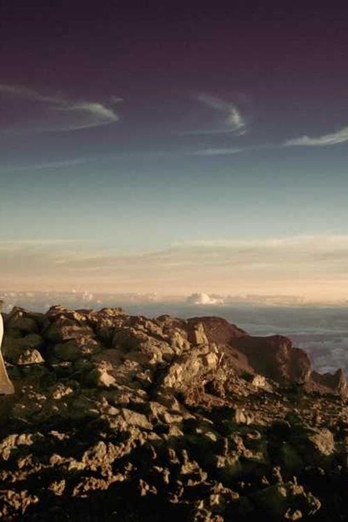 Robert Barr