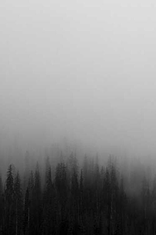 Scott Weston