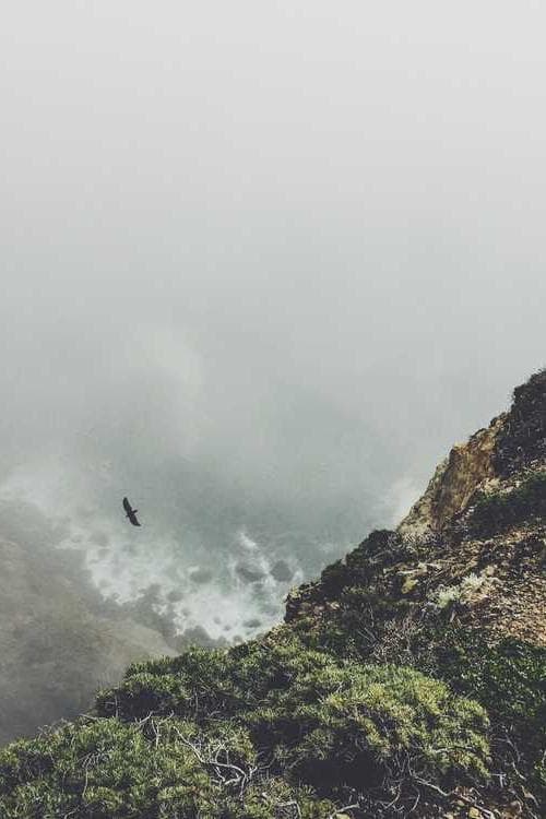 Jerod Swallow