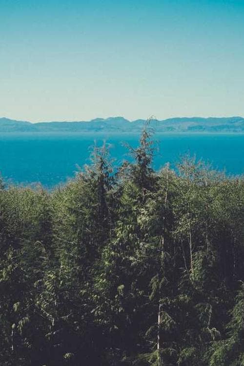 Summer North