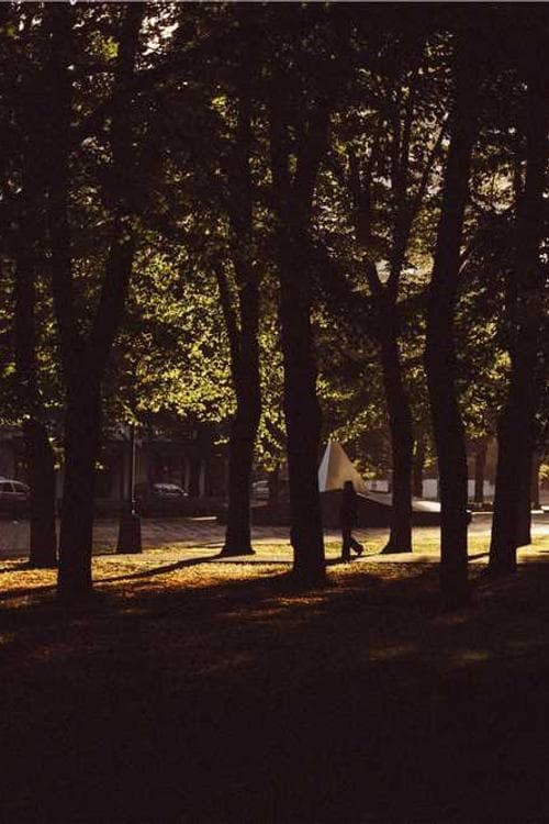 Jacek Joniec