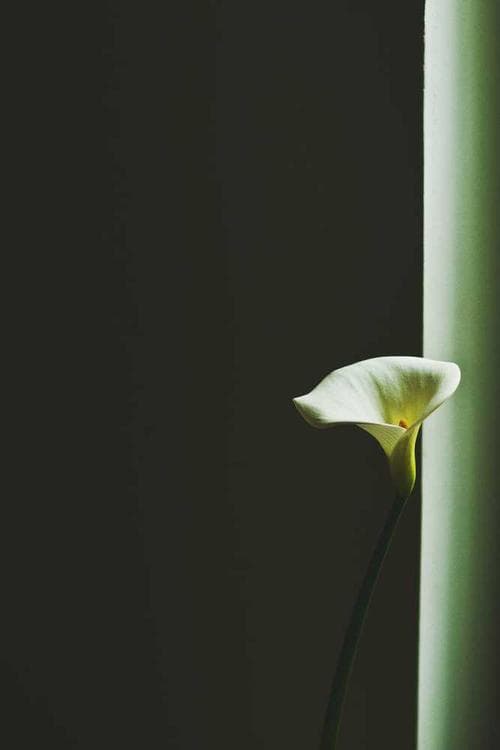 Martin Porter