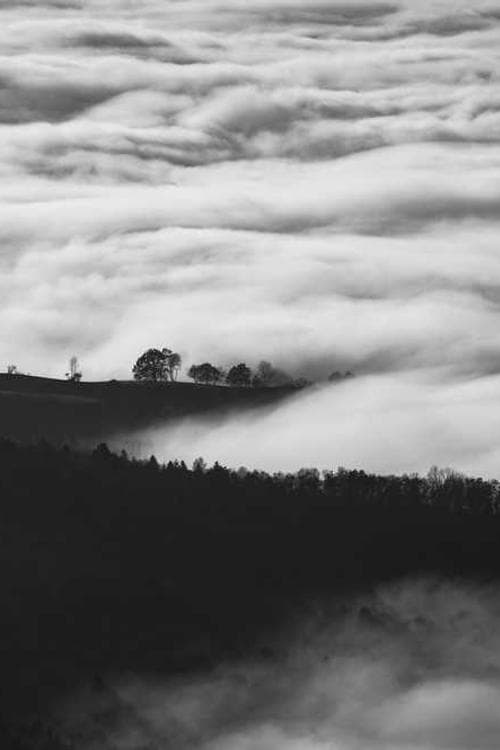 Jason Schaller