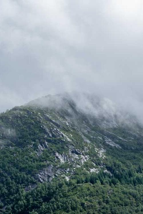 Katri Rautio