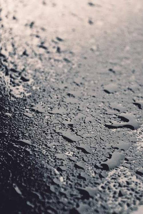 Aleksandar Saradžić